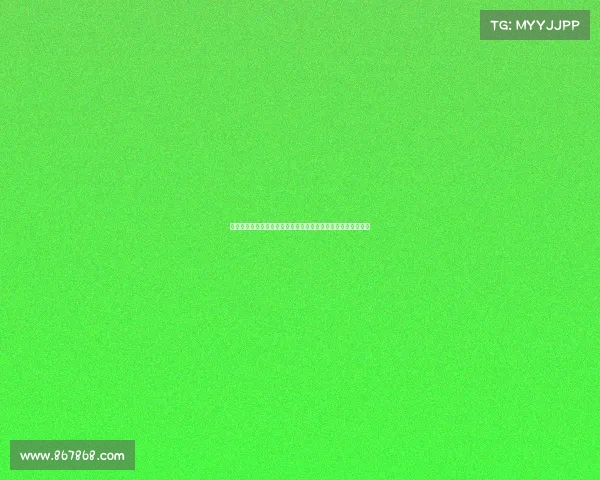 防铁闸建设与管理的创新探索及其在城市交通安全中的应用研究